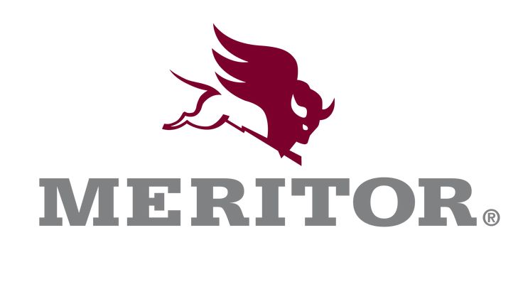 SEGURO MERITOR 1229E4685